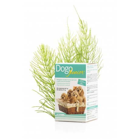 DOGOTEKA DOGO JUNIOR 60 tab - câini și pisici