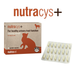 NUTRAVET NUTRACYS+ (NUTRAEASE) 20 cps - dogs and cats