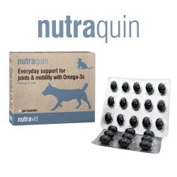 NUTRAVET NUTRAQUIN 45 cps - dogs and cats